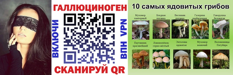 наркота  Осинники  Галлюциногенные грибы мухоморы 