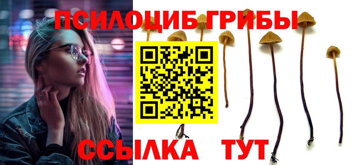 Осинники  Псилоцибиновые грибы Psilocybine cubensis  Псилоцибиновые грибы мухоморы  Вход с VPN 